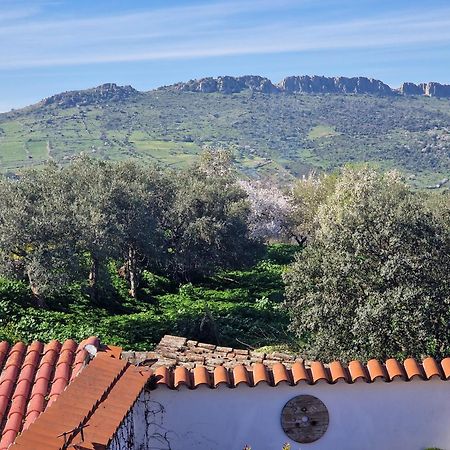 La Casa Del Patio Leilighet Zafra Eksteriør bilde