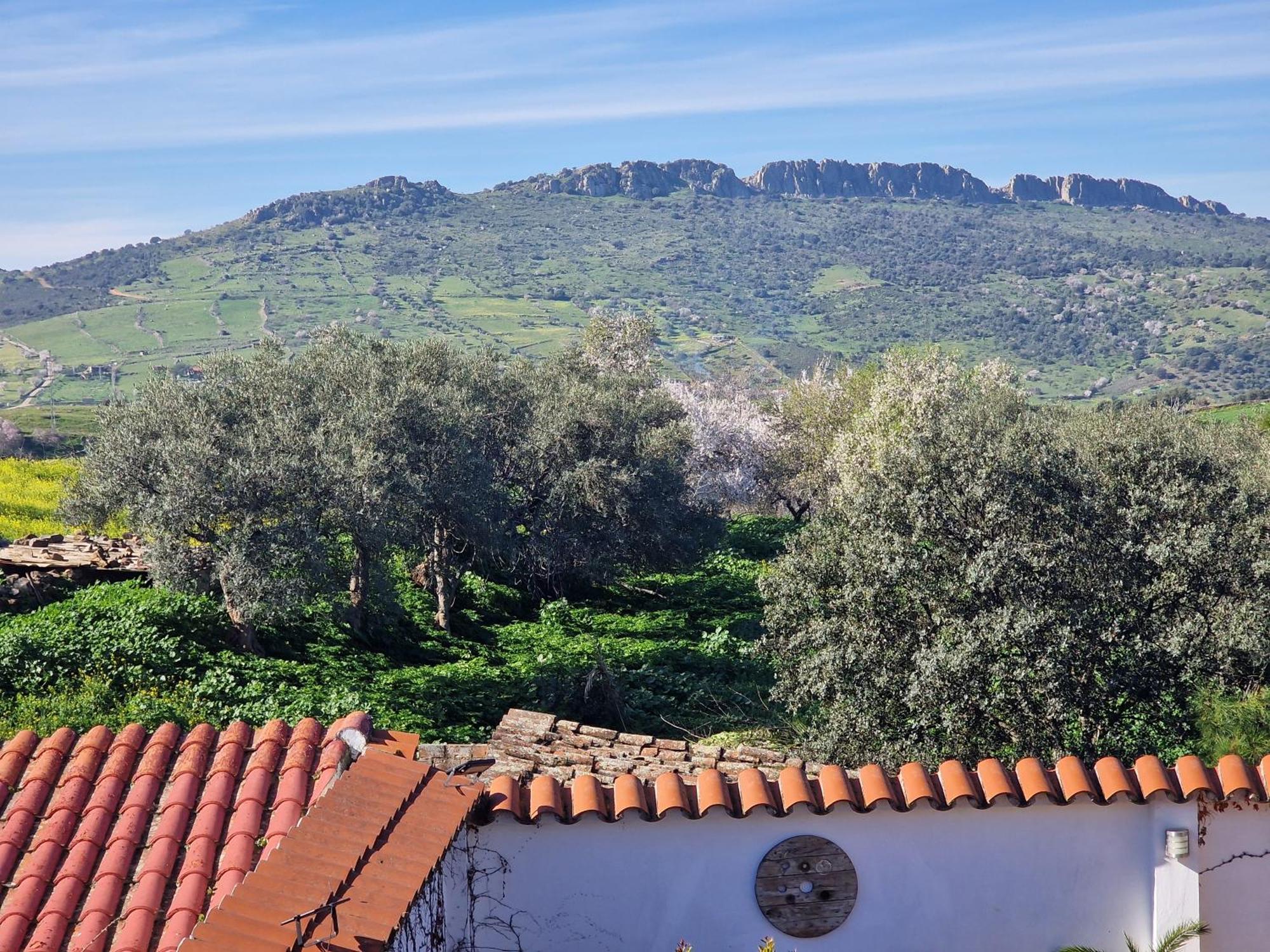 La Casa Del Patio Leilighet Zafra Eksteriør bilde